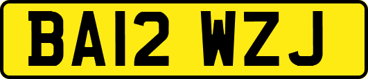 BA12WZJ