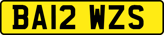 BA12WZS