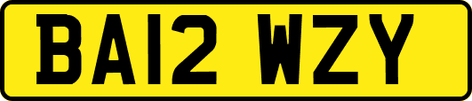 BA12WZY