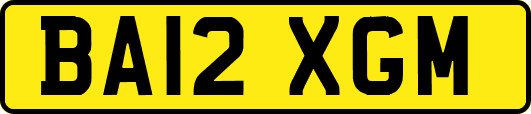BA12XGM