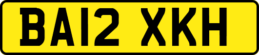 BA12XKH