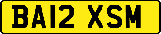 BA12XSM