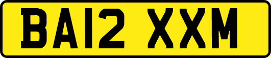 BA12XXM