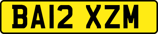 BA12XZM