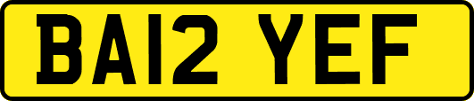 BA12YEF