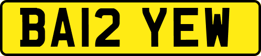 BA12YEW