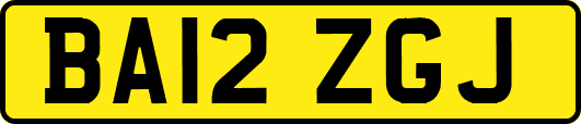 BA12ZGJ