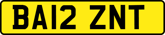 BA12ZNT
