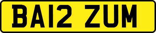 BA12ZUM