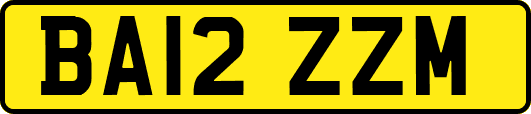 BA12ZZM
