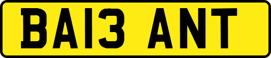 BA13ANT