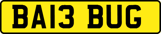 BA13BUG