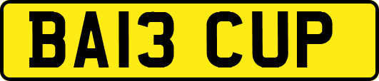 BA13CUP