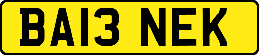 BA13NEK