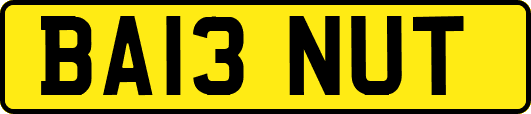 BA13NUT