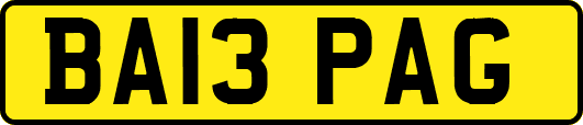 BA13PAG