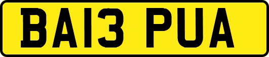 BA13PUA