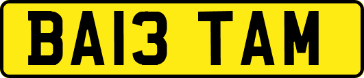 BA13TAM