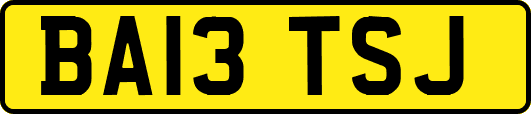 BA13TSJ
