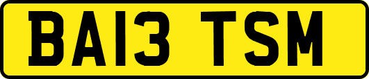 BA13TSM