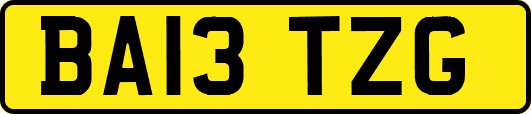 BA13TZG