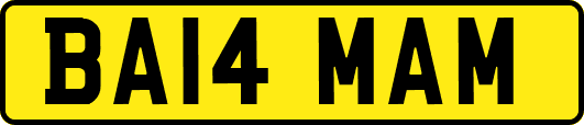 BA14MAM