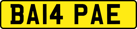 BA14PAE