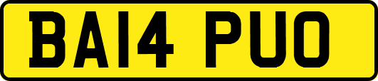 BA14PUO