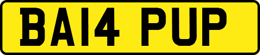 BA14PUP