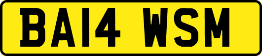 BA14WSM