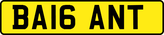 BA16ANT