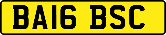 BA16BSC