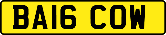 BA16COW