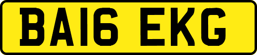 BA16EKG