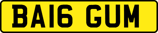 BA16GUM