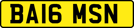 BA16MSN