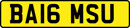 BA16MSU