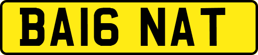 BA16NAT