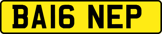 BA16NEP
