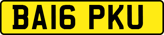 BA16PKU