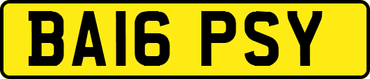 BA16PSY