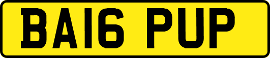 BA16PUP