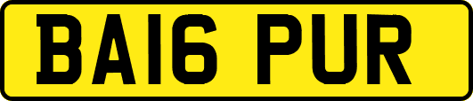 BA16PUR