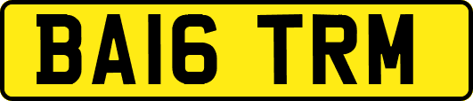 BA16TRM