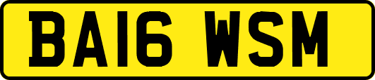 BA16WSM