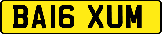 BA16XUM