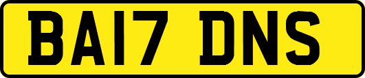 BA17DNS