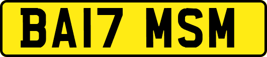 BA17MSM