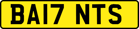 BA17NTS