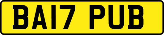 BA17PUB